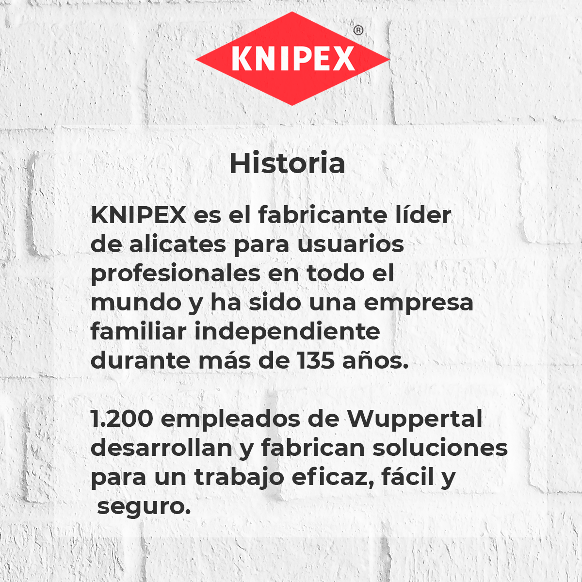 KNIPEX 44 11 J2 SB PINZAS PARA ANILLOS CLIPS CIRCULAR DE 19-60 MM